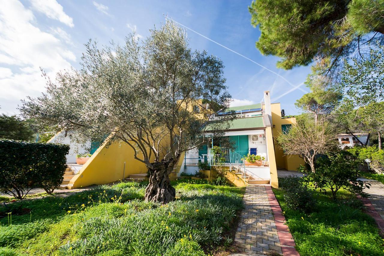 Hotiday Apartment Collection - Villa Alba كالا ليبيروتو المظهر الخارجي الصورة